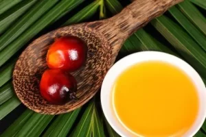 Palm oil RSPO